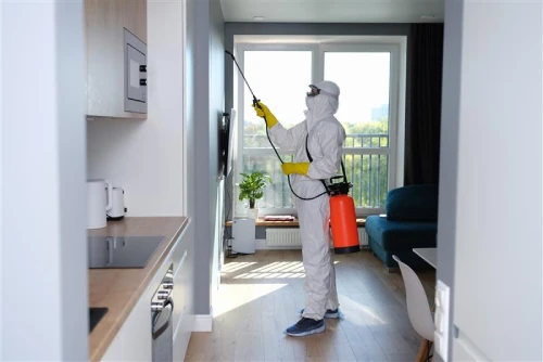 Pest control equipment ensuring a clean and safe home environment